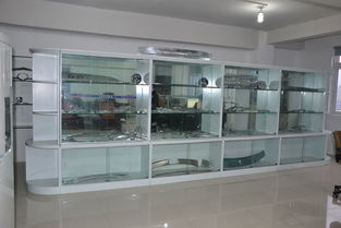 温州凯特 深耕汽车外装饰件市场，用展览展示智驭未来